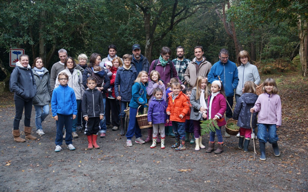 Sortie champignons