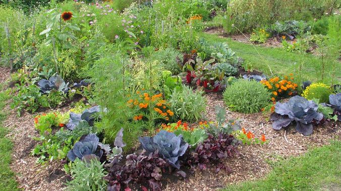 Visite du jardin des merveilles