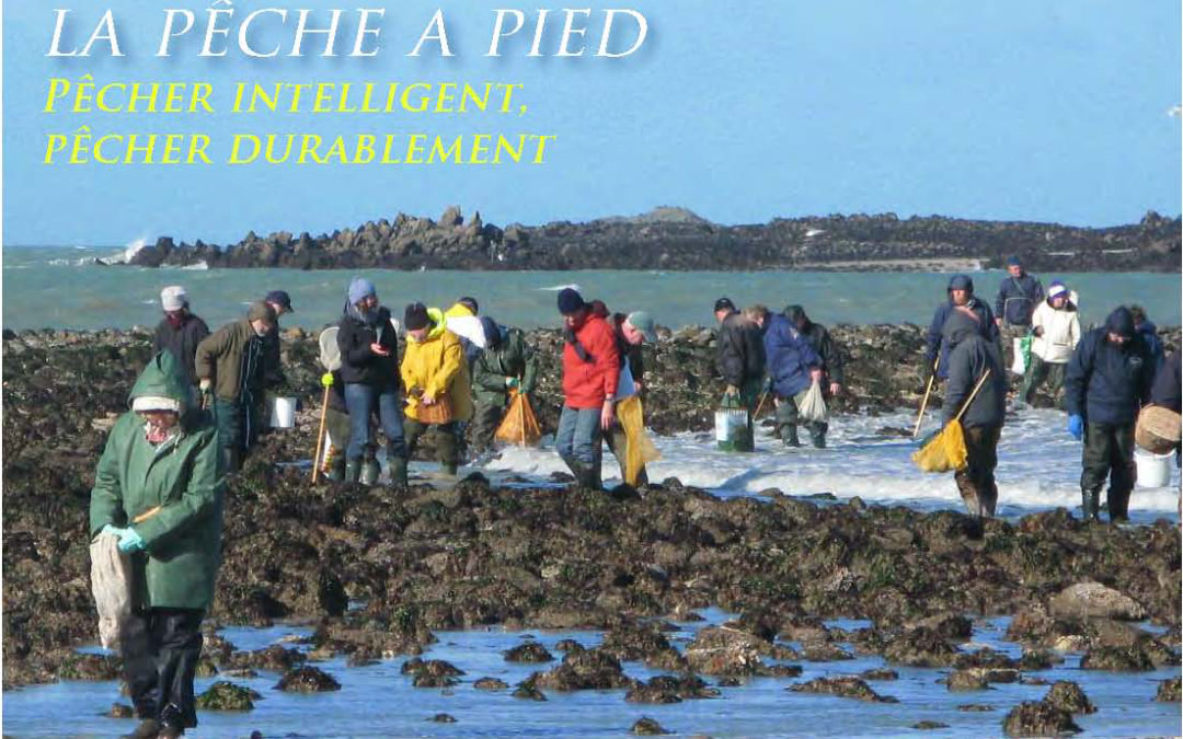 Sortie pêche, huîtres et vin blanc