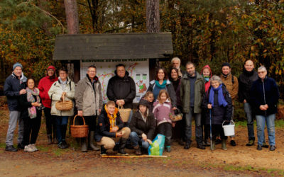 Sortie champignons
