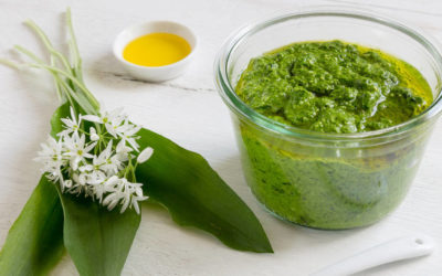 L’ail des ours: délice des sous-bois