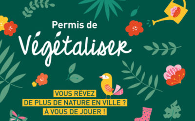 Permis de végétaliser , embellir sa rues et sa ville ? C’est a portée de main