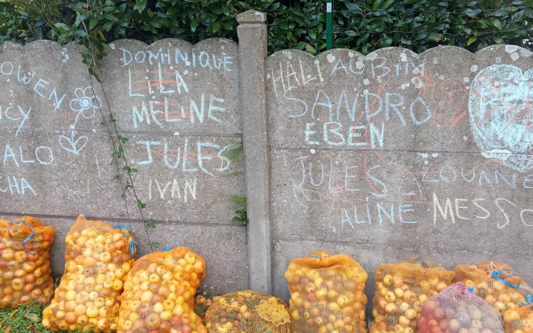 Les poussins aux jardin du Kikafékoi