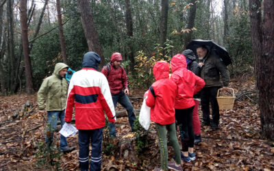 Sortie champignons… pour les plus courageux…