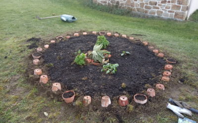 accueillir la biodiversité dans son jardin