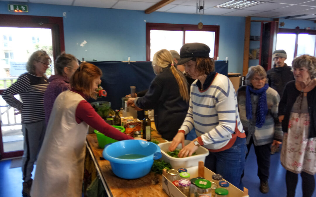 préparation pesto ail des ours