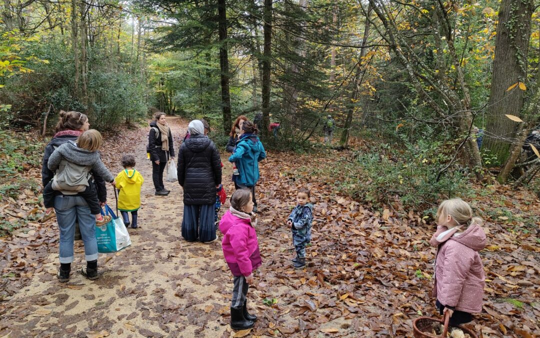 En familles aux champignons